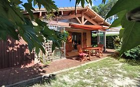 Les Portes Du Cap Ferret Maison Tout Confort 6 Personnes
